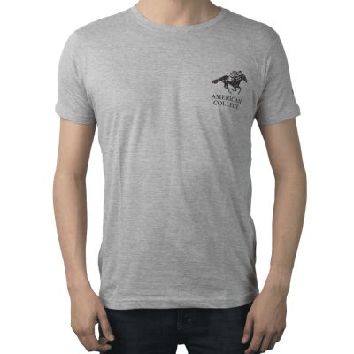 T-SHIRT AMERICAN COLLEGE GRIS